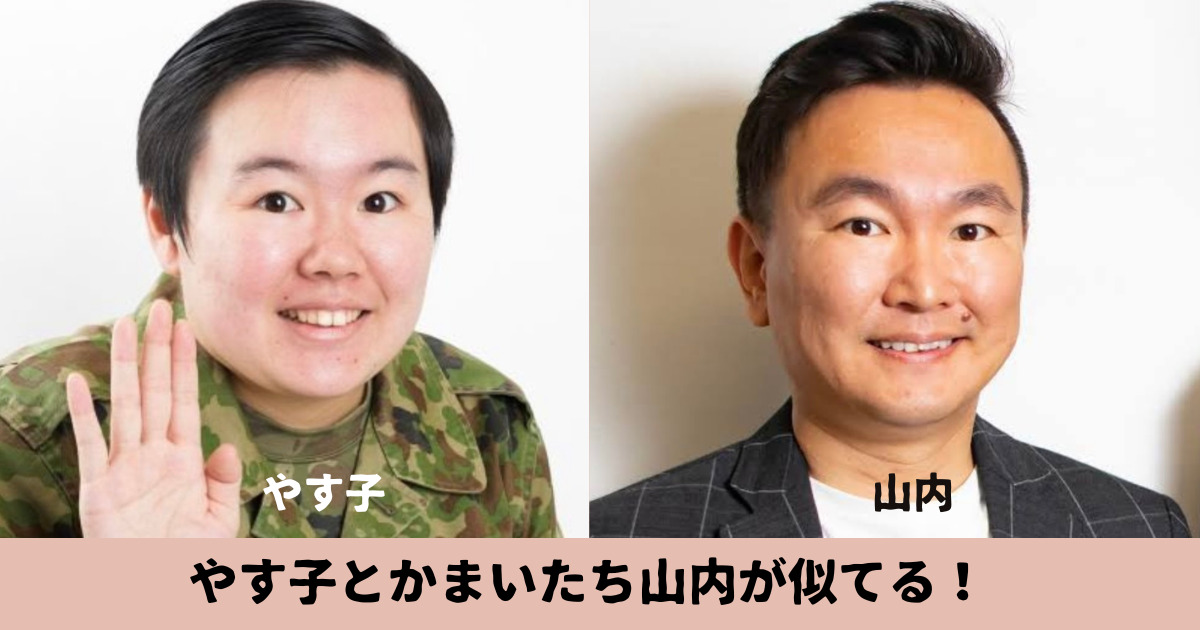 やす子とかまいたち山内が似てる