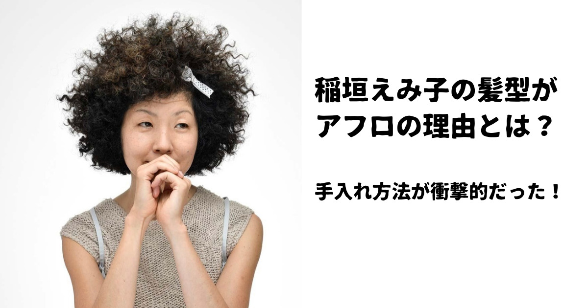 稲垣英美この髪型がアフロ